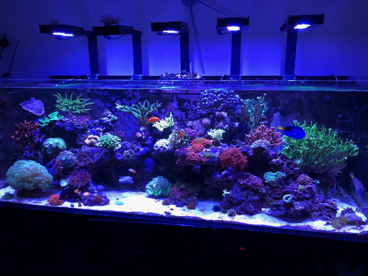Helbild av blandrevet i Reefer 750:an efter ombyggnad
