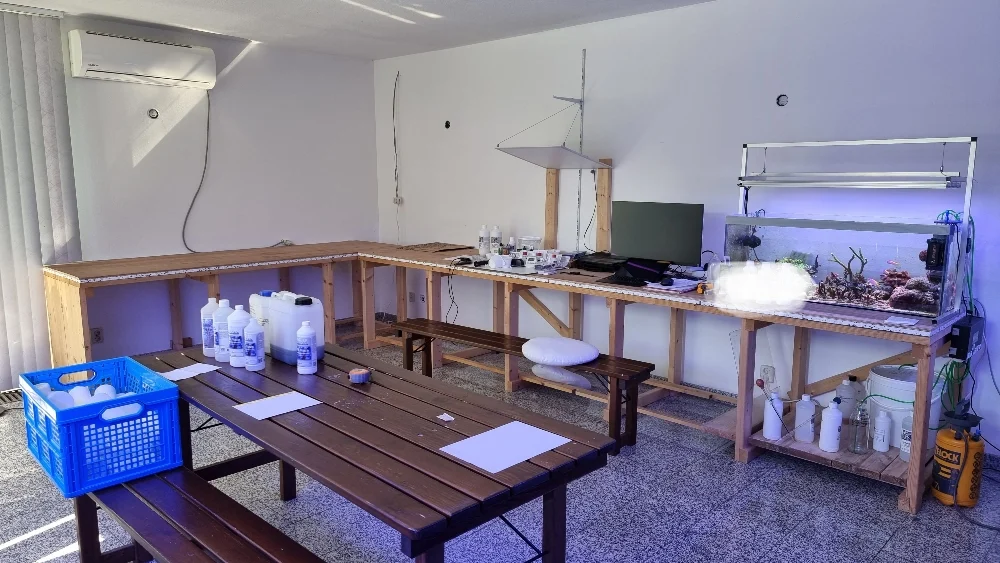 Här börjar Panoramareef