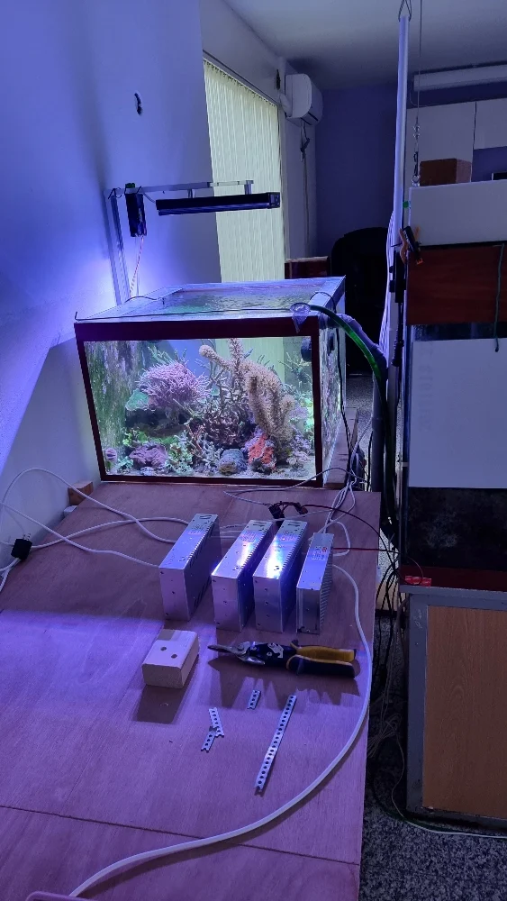 Flytt av fjärilsrevet (butterflyreef) (1)