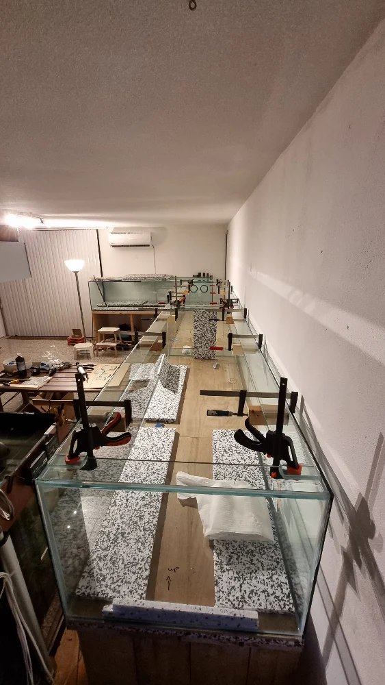 Förstärkningarna limmas på sektion 2/3 (7)