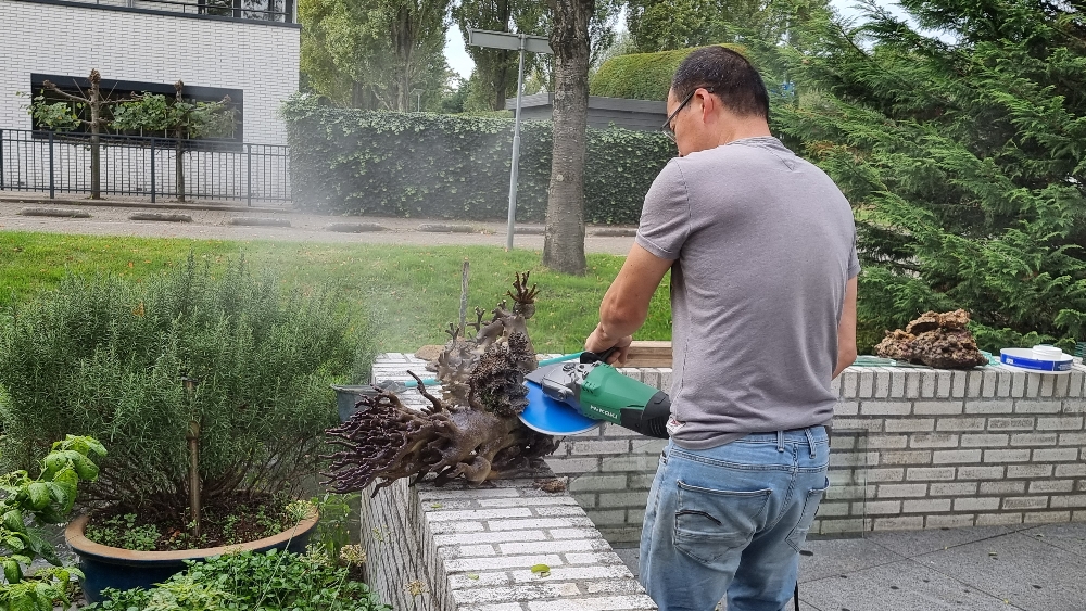 Transplantation av DSR1200reef till det nya akvariet (9)
