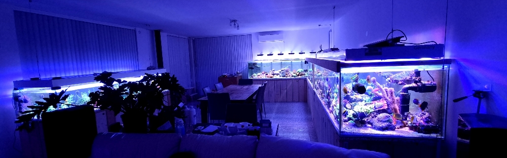 Matrummet flyttat in i akvarierummet (2)