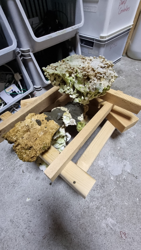 Reefscaping inför sektion 1 (1)