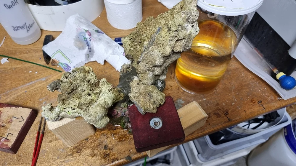 Reefscaping inför sektion 1 (3)