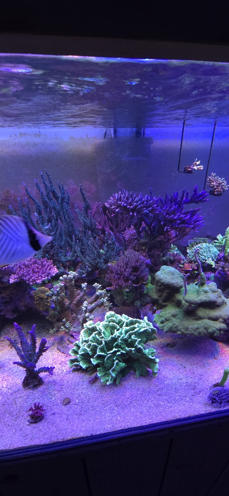 Bilder av sektion 3 (2)
