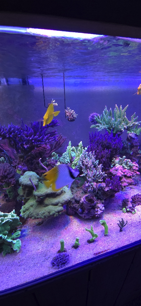Bilder av sektion 3 (3)