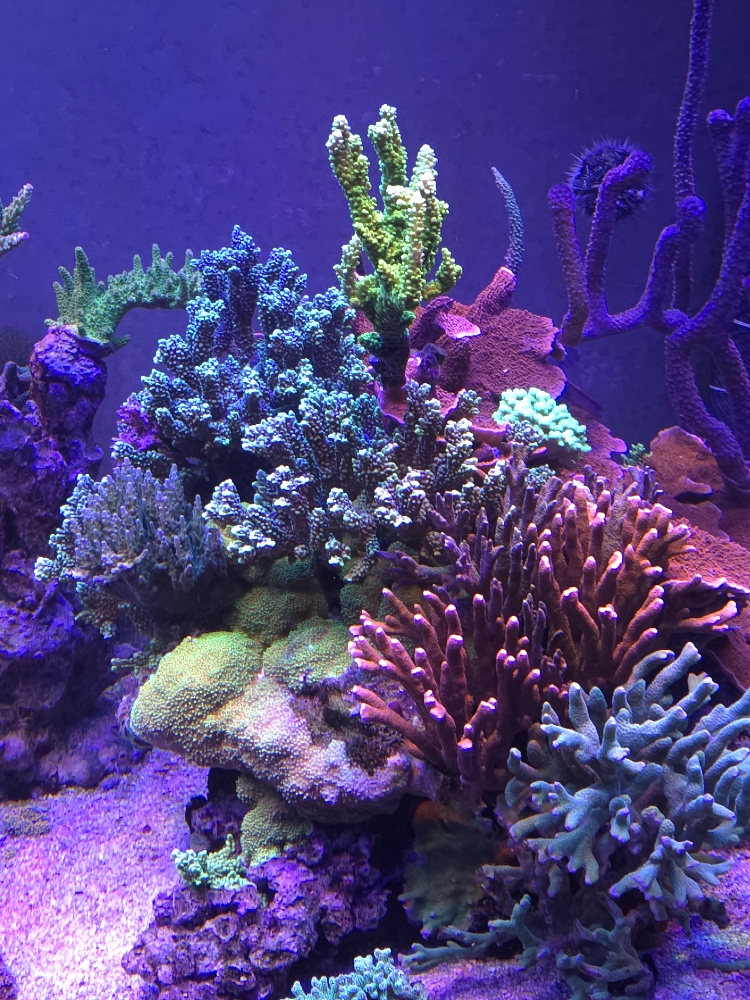 Bilder av sektion 3 (6)