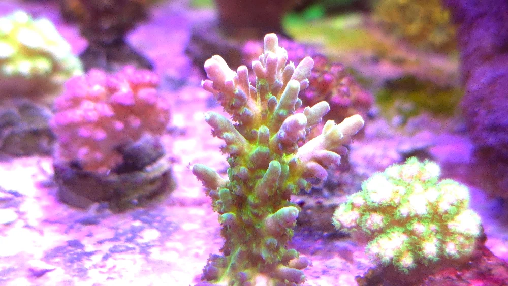 Fotosession #8 (3)