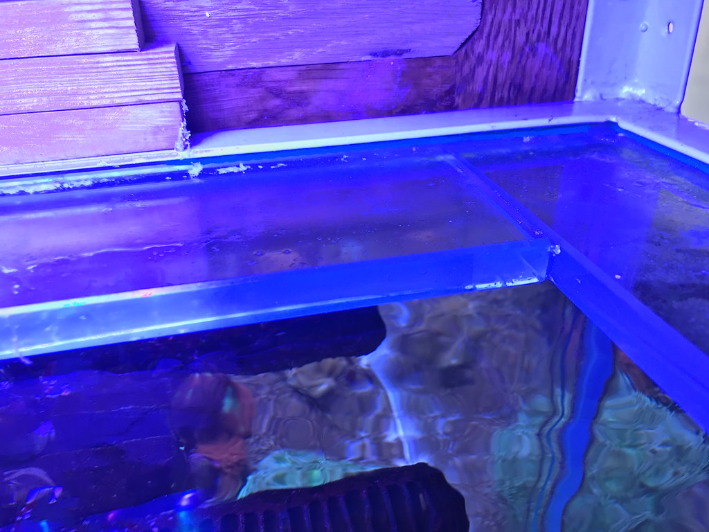 katanis akvarium med förstärkningarna limmade i jämn höjd
