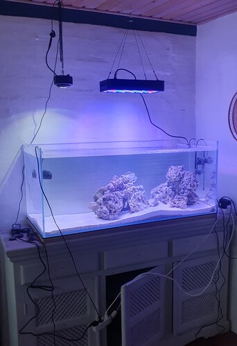 Ljustest med Kessil-lampor och en Kina-lampa