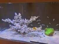 Helbild med 2 lampor monterade